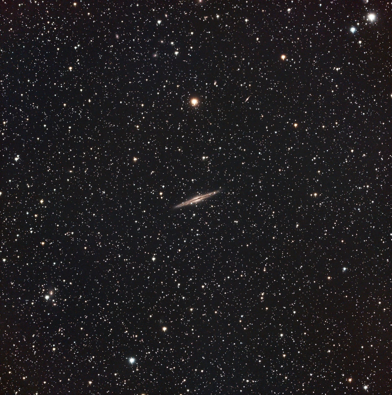 NGC 891 – Silbersplitter-Galaxie · Vespera Pro · Ulrich Schwarz